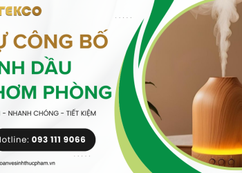 Tự công bố tinh dầu thơm phòng, xông phòng như thế nào?