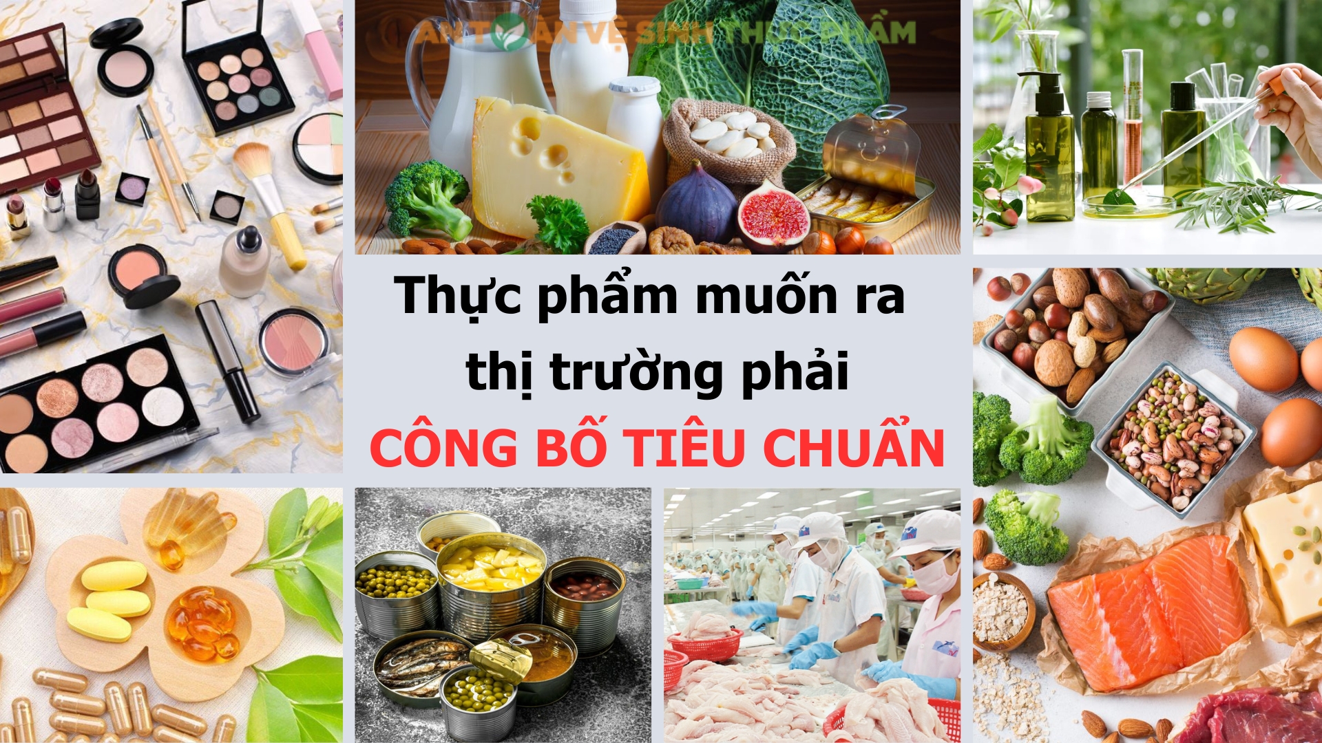 Nghị quyết số 66.13/2026: Thực phẩm muốn ra thị trường phải công bố tiêu chuẩn