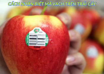 Mã vạch trái cây là gì? Cách nhận biết mã vạch trên trái cây