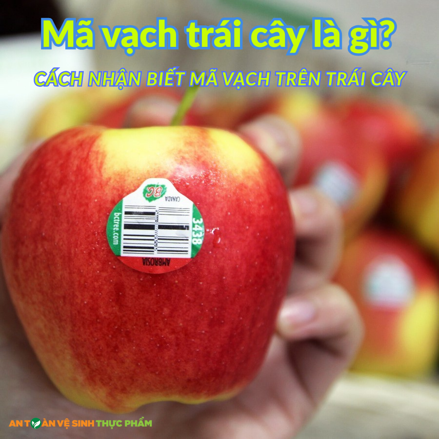 Mã vạch trái cây là gì? Cách nhận biết mã vạch trên trái cây
