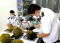 Danh sách 37 phòng kiểm nghiệm mít, sầu riêng xuất khẩu